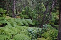 Ausflug ITO03 mit NCL 