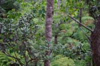 Ausflug ITO03 mit NCL 