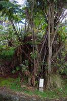 Ausflug ITO03 mit NCL 