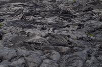 Ausflug ITO03 mit NCL 