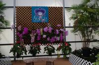 Ausflug ITO03 mit NCL 