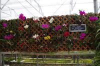 Ausflug ITO03 mit NCL 