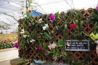 Ausflug ITO03 mit NCL 