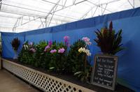 Ausflug ITO03 mit NCL 