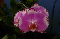 Ausflug ITO03 mit NCL 