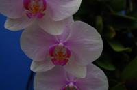 Ausflug ITO03 mit NCL 