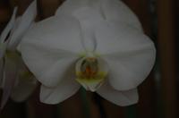 Ausflug ITO03 mit NCL 