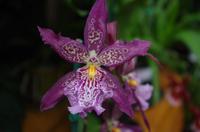 Ausflug ITO03 mit NCL 