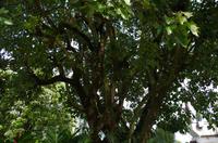 Ausflug ITO03 mit NCL 