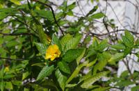 Ausflug KOA45 mit NCL 