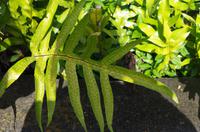 Ausflug KOA45 mit NCL 