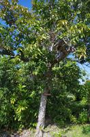 Ausflug KOA45 mit NCL 