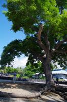 Ausflug KOA45 mit NCL 