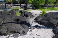 Ausflug KOA45 mit NCL 