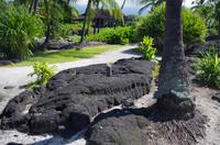 Ausflug KOA45 mit NCL 