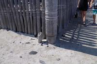 Ausflug KOA45 mit NCL 