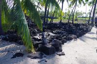 Ausflug KOA45 mit NCL 