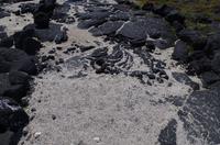 Ausflug KOA45 mit NCL 