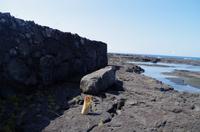 Ausflug KOA45 mit NCL 