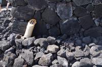 Ausflug KOA45 mit NCL 