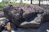 Ausflug KOA45 mit NCL 