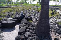 Ausflug KOA45 mit NCL 