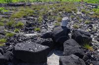 Ausflug KOA45 mit NCL 