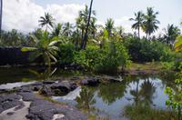 Ausflug KOA45 mit NCL 