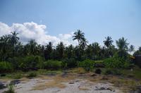 Ausflug KOA45 mit NCL 