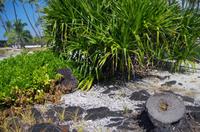 Ausflug KOA45 mit NCL 