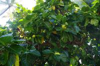 Ausflug KOA45 mit NCL 