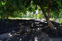 Ausflug KOA45 mit NCL 