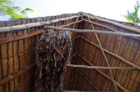 Ausflug KOA45 mit NCL 