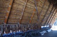 Ausflug KOA45 mit NCL 