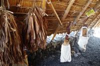 Ausflug KOA45 mit NCL 