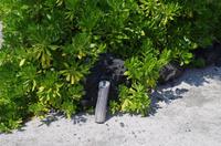 Ausflug KOA45 mit NCL 