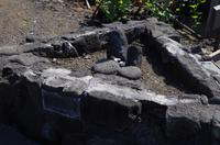 Ausflug KOA45 mit NCL 