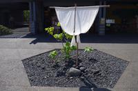 Ausflug KOA45 mit NCL 