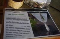 Ausflug KOA45 mit NCL 