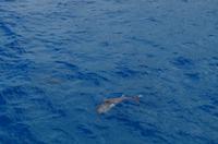 Ausflug KOA45 mit NCL 