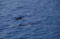 Ausflug KOA45 mit NCL 