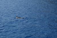 Ausflug KOA45 mit NCL 