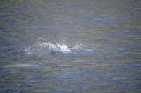 Ausflug KOA45 mit NCL 