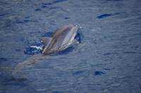 Ausflug KOA45 mit NCL 