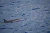 Ausflug KOA45 mit NCL 