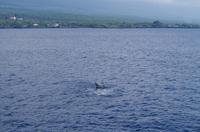 Ausflug KOA45 mit NCL 