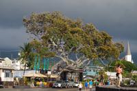 Ausflug KOA45 mit NCL 