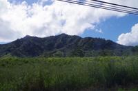 Individuelle Fahrt mit einigen Gästen zum Weimea Canyon auf Kauai im Taxi