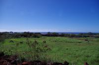 Individuelle Fahrt mit einigen Gästen zum Weimea Canyon auf Kauai im Taxi