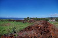 Individuelle Fahrt mit einigen Gästen zum Weimea Canyon auf Kauai im Taxi